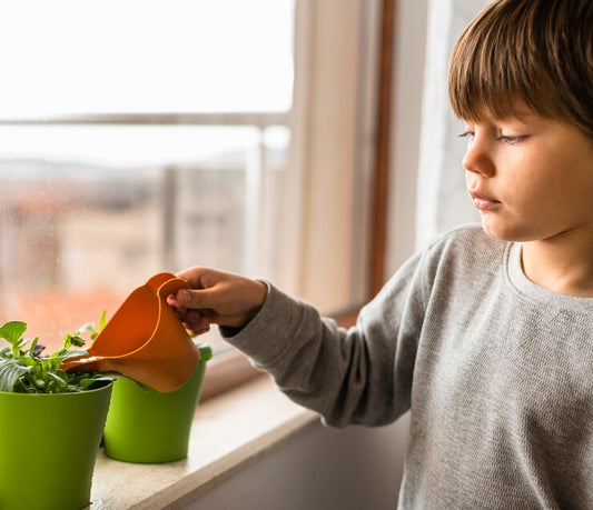 A Complete Guide to Teaching Responsibilities to a Child